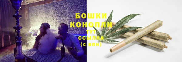 гидра Козельск
