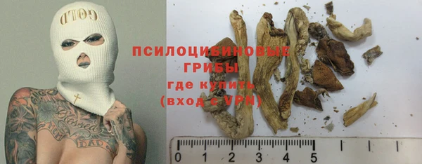 гидра Козельск