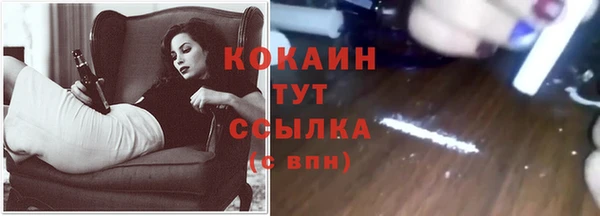 гидра Козельск