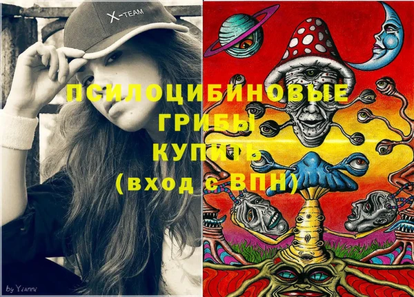 гидра Козельск