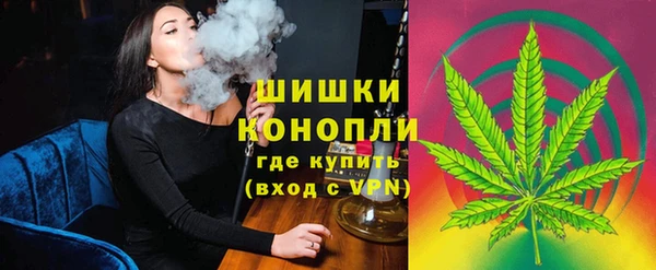 гидра Козельск