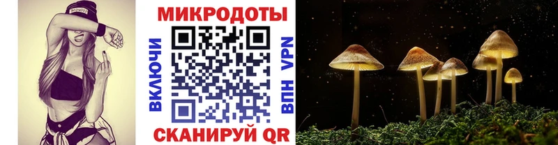 Псилоцибиновые грибы Psilocybe  Купить закладки  Мезень 
